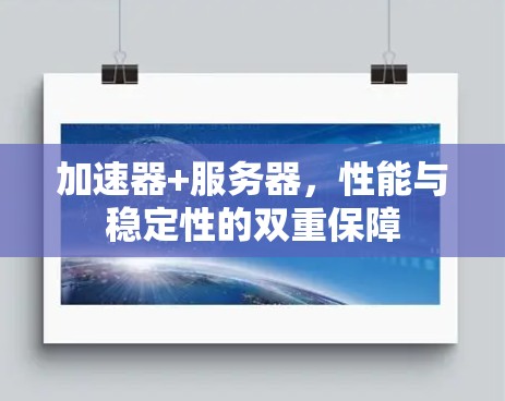 加速器+服务器，性能与稳定性的双重保障