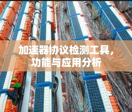 加速器协议检测工具,功能与应用分析 加速器协议检测工具,功能与应用分析