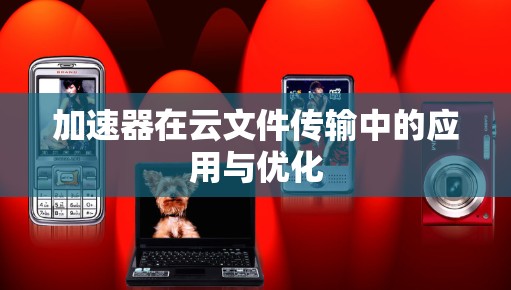 加速器在云文件传输中的应用与优化