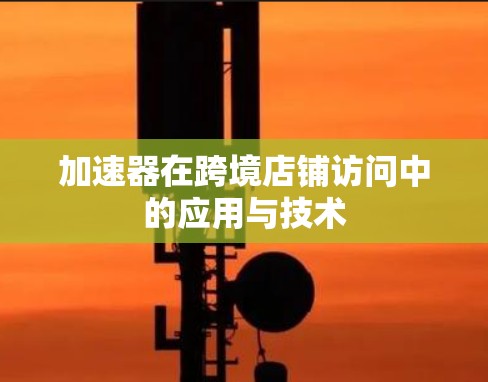 加速器在跨境店铺访问中的应用与技术