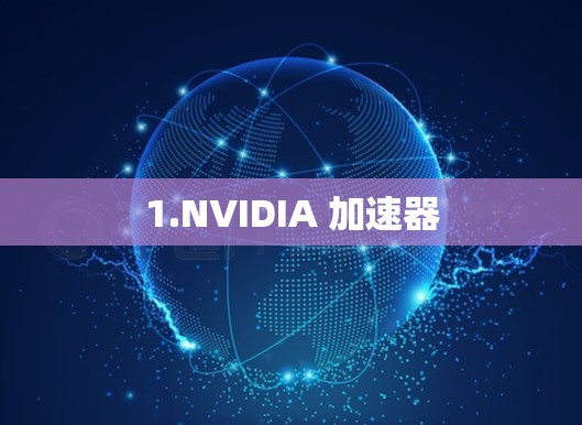 1.NVIDIA 加速器