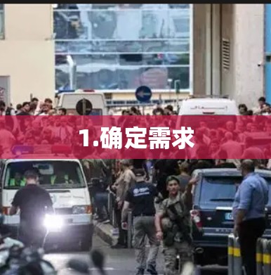 1.确定需求