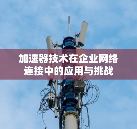 加速器技术在企业网络连接中的应用与挑战