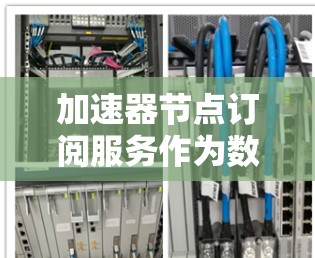 加速器节点订阅服务作为数据传输的重要工具,能够显著提升数据传输效率和用户体验。以下是对加速器节点订阅服务的详细分析和建议