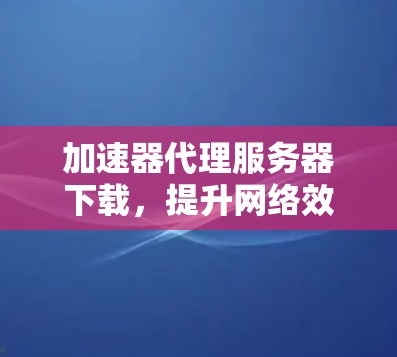 加速器代理服务器下载，提升网络效率的秘密武器