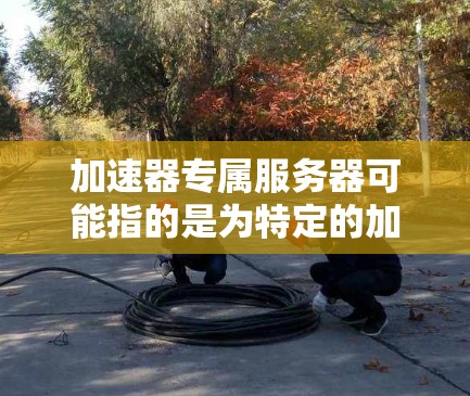 加速器专属服务器可能指的是为特定的加速器服务设计的专用服务器,这些服务器通常用于优化网络性能,例如在数据传输、视频流、云计算或其他需要高性能网络服务的场景中