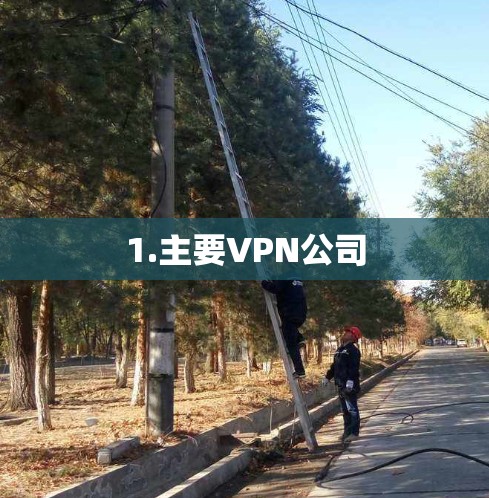 1.主要VPN公司