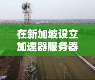 在新加坡设立加速器服务器节点涉及多个关键因素,确保其高效、安全且能提升用户体验。以下是详细的步骤和考虑因素