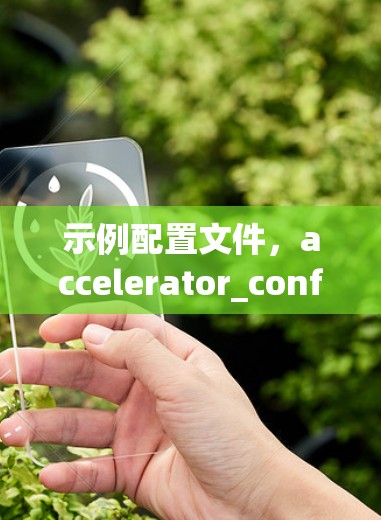 示例配置文件，accelerator_config.json